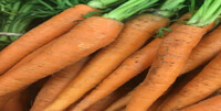 carottes